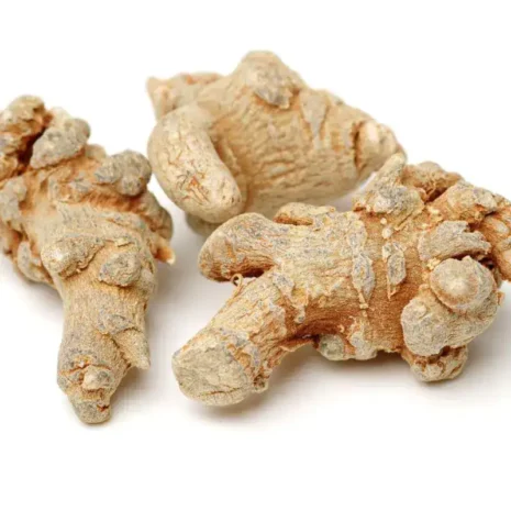 produkt-zusatzbild-Zahnpulver-Natur.webp produkt-zusatzbild-Zahnpulver-Natur.webp