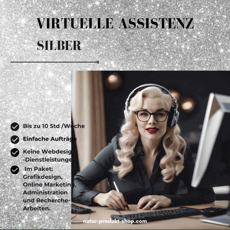 Virtuelle Assistenz-Silber Paket