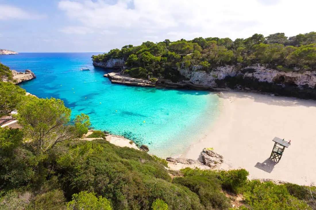 Portfolio –Support & Virtuelle Assistenz - Projekt Ferienfinca Gekko Mallorca